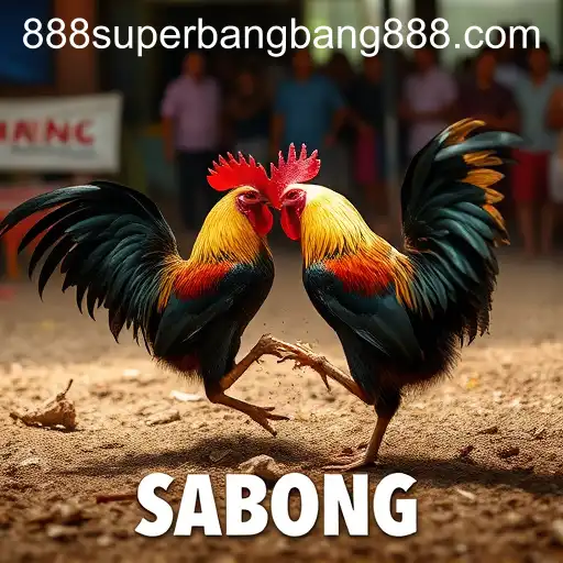 Exploring the Fascinating World of Sabong Games: An Insight into Superbangbang888